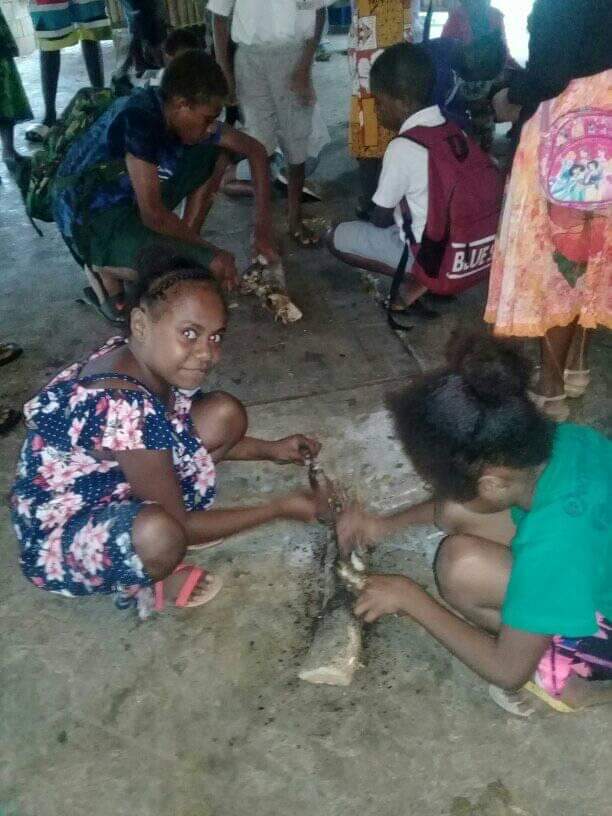 #Vanuatu pikinini were part of a traditional way of slow cooking. It is called "Rusum #Yam ,which means Grilling Yam. The National Museum of #Vanuatu   is currently running custom school for  young generation on the traditional #Vanuatu lifestyle.
📸 Vanuatu National Museum.