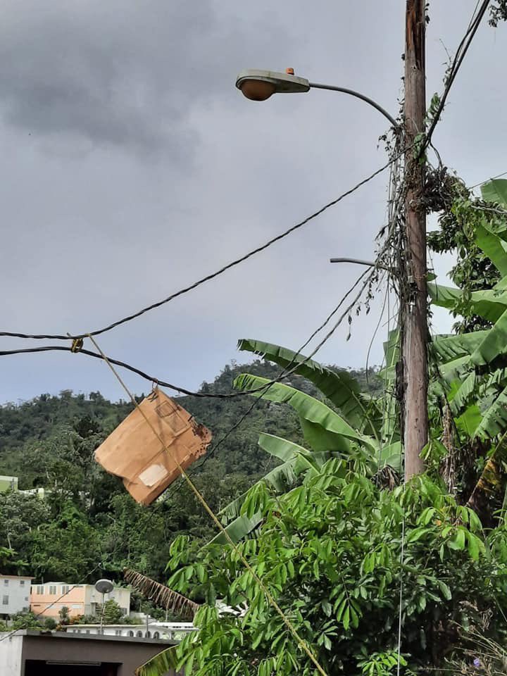 Esta situación se reportó hace un tiempo y no se ha resuelto. Los residentes de la barriada Rullan #4 en #Adjuntas temen por su seguridad. Solicitamos la cooperación de la <a href="/AEEONLINE/">Autoridad de Energía Eléctrica</a>. Núm. querella: WR-5699185. <a href="/SenadorCruz/">Nelson Cruz Ex Senador</a> <a href="/QuinonesAbid/">Abid Quiñones Irizarry</a>  <a href="/luisberdiel51/">Luis Berdiel</a>