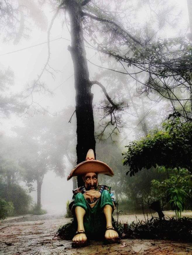 WeAreTagaytay's tweet photo. Guess where in Tagaytay... 👀

https://t.co/07A8psPnr8 https://t.co/i3yAYaJ40s