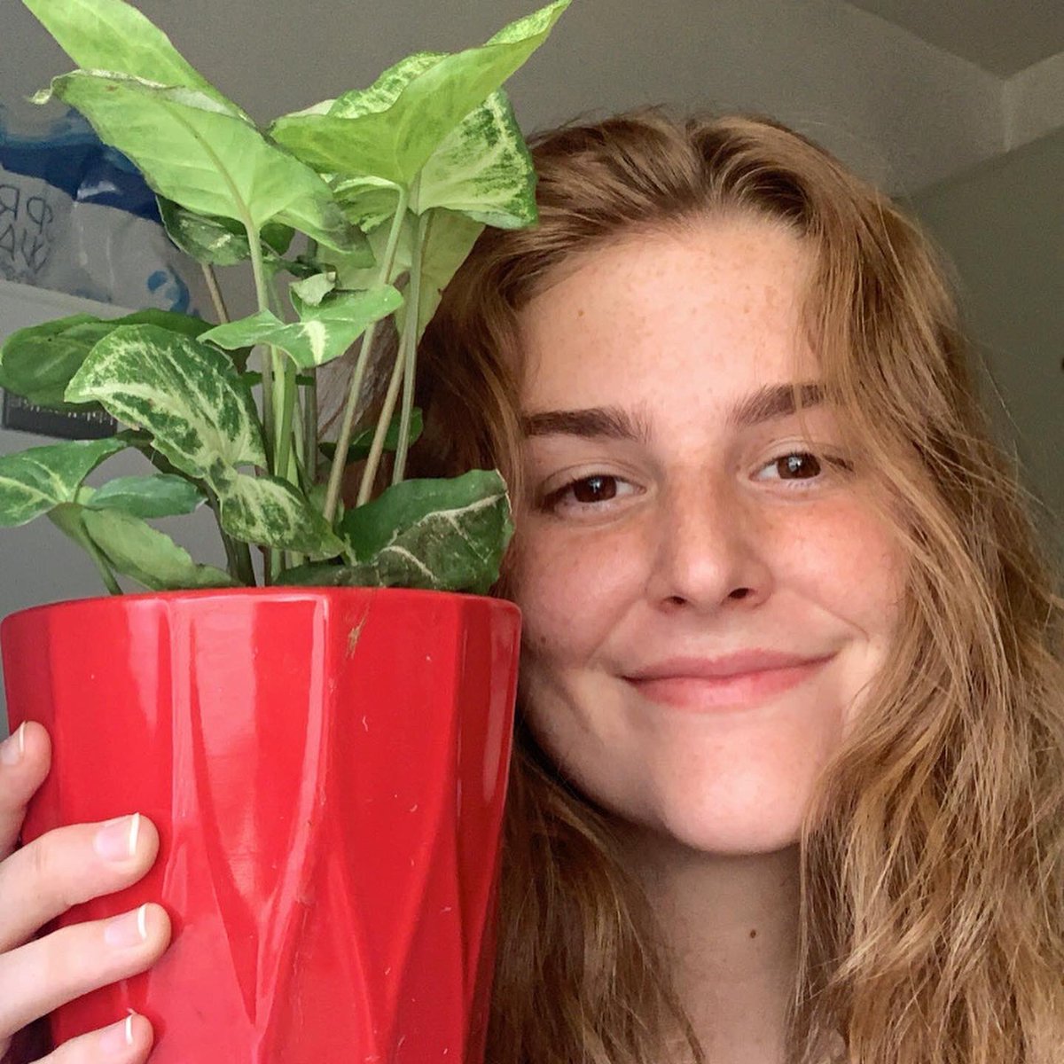 LlcMessy's tweet photo. Some of our radiant plant parents! Nothing warms our hearts more than seeing our babies go to great homes 🥺❤️ 
#messygardens #plantparents #plantsmakepeoplehappy https://t.co/BIWqogaraZ