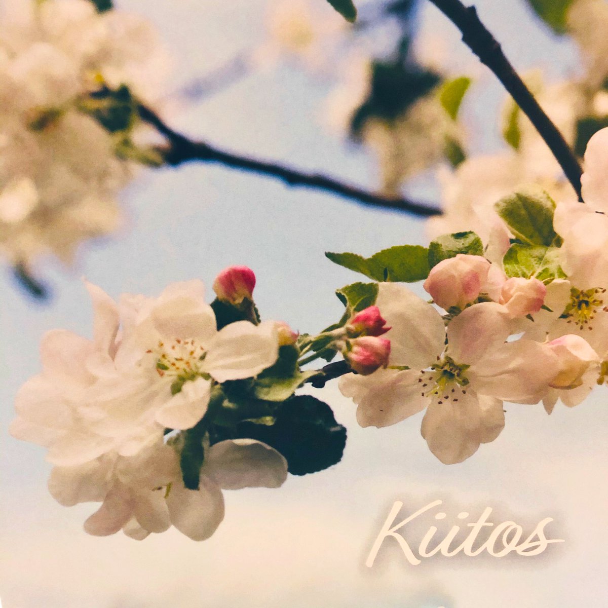 Miellyttävää palvelua välittäjältä!Kiitos <a href="/visasuojanen/">Visa Suojanen</a> 🙌🏻#opkotikeskisuomi