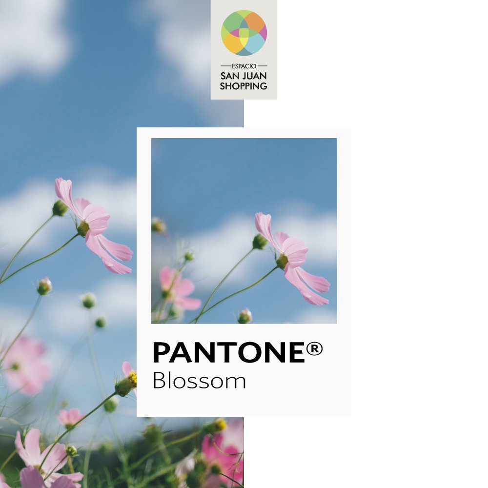 Comenzamos a llenarnos de colores pasteles y estampados que te conectan con los nuevos tiempos ✨  
#VeníDeShopping y armá tu próximo look #SummerInBloom