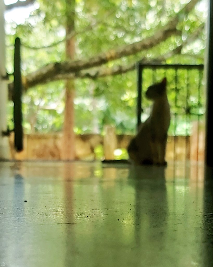 sambhumithra's tweet image. Wait untill you get something new in your life😍