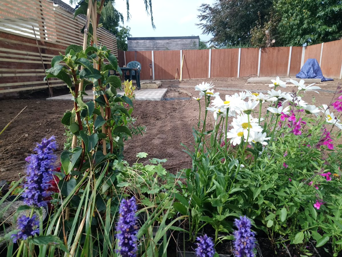 broadacregarden's tweet photo. Already for planting tomorrow. @ianscottroofe @juliasrigley @HowardNurseries @SandyLaneLTD @martyn_davey https://t.co/oBwkqe6R6w