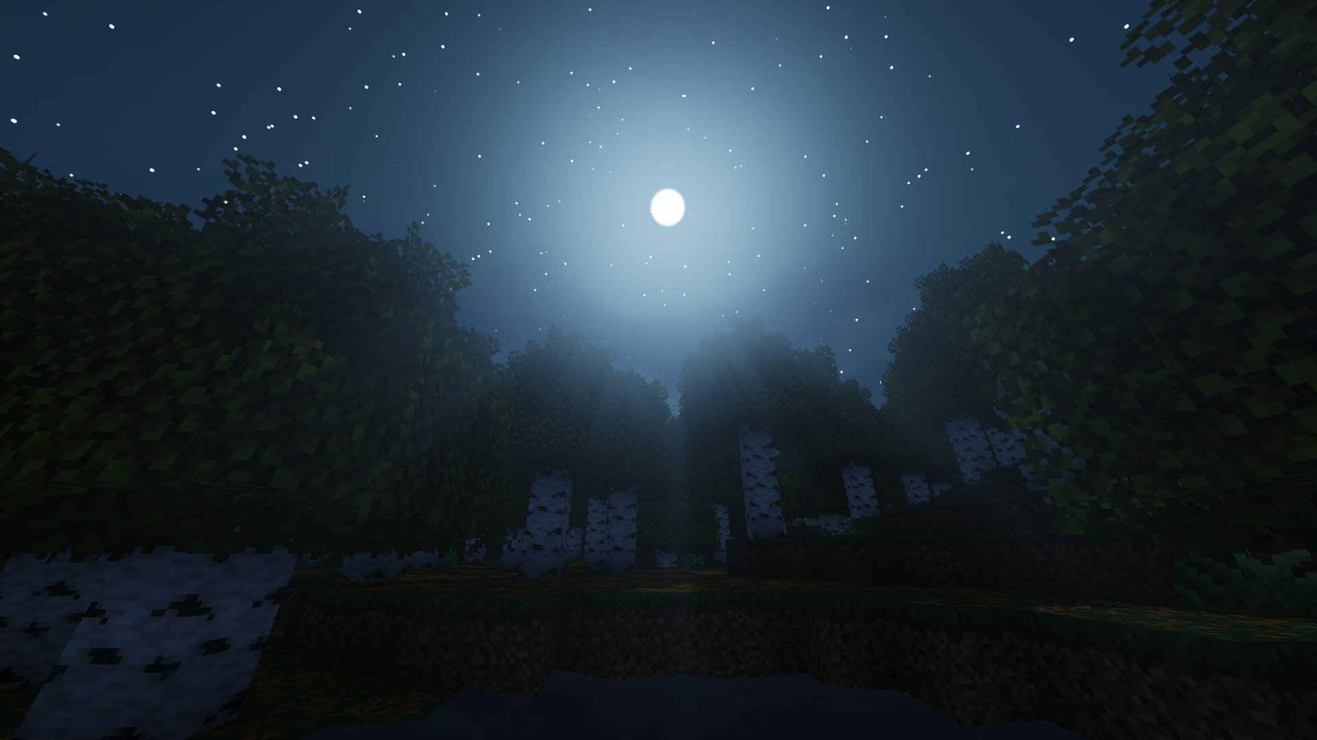 Minecraft Shaders Night