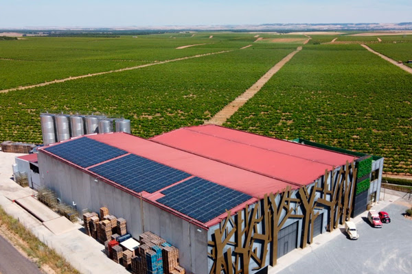 RevistadelVino's tweet photo. #Menade finaliza su vendimia más sostenible. El 50% de la energía empleada es autogenerada. La bodega ha recolectado 1,3 millones de kilos, una cifra muy similar a añadas anteriores debido al exhaustivo control de su viñedo ecológico. https://t.co/ynE2npYIO6