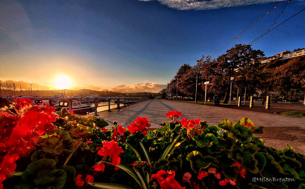 Helen Brenton 🇪🇺 tweet media