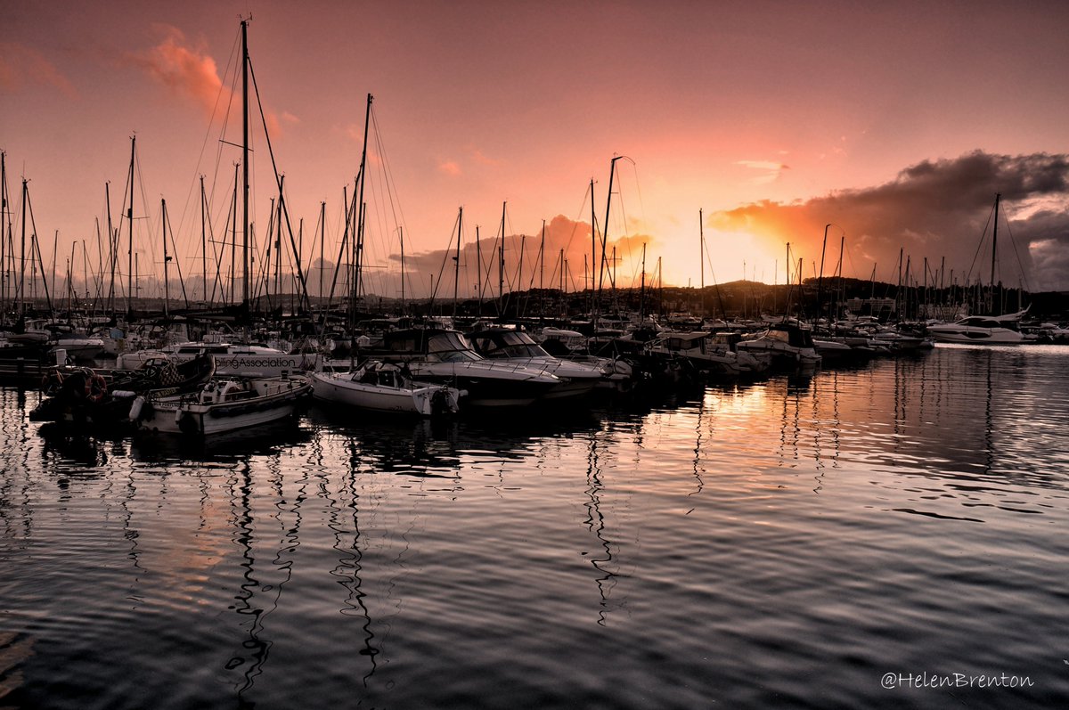 Helen Brenton 🇪🇺 tweet media