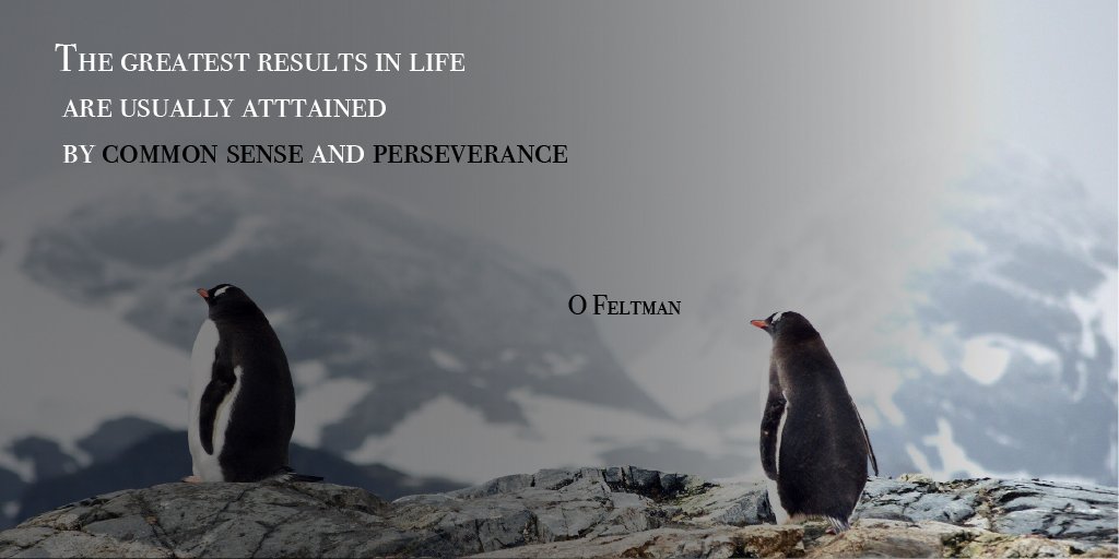 DMatteoni's tweet photo. Decided upon an interesting quote for my #ImageTweet today. Definitely wise #words to live by! #RSJ108 @janice_b13 https://t.co/3TnM87En4t