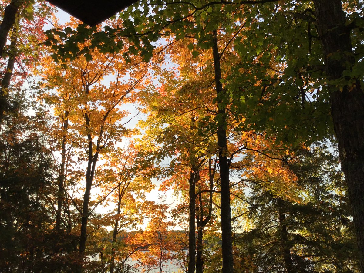 In a world where there is so much disagreement let us return to the beauty of nature and see the hand of the creator who is found not in noise but in silence and peace.