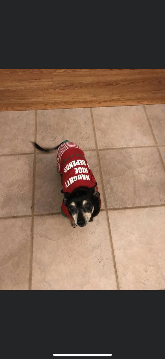 trey0091's tweet photo. Rip to the realest dog I’ve ever met I’ll miss you queen 💯❤️ https://t.co/WFc52BEzre