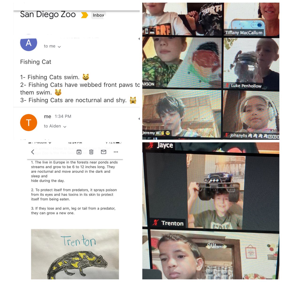 MaccallumBushES's tweet photo. Another great day with DL 3rd and 4th graders!
Scavenger hunt check in ... find something you’ve made, find something with wheels. Putting it on your head was optional. 😆
Independent work time included a virtual field trip to the San Diego Zoo! 
@JPS_BushES https://t.co/DLon2HrpEm