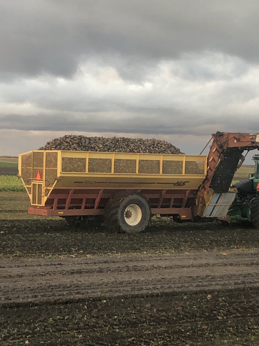 paulrogus's tweet photo. Load Of Sugar ⁦@JensenSeedCo⁩ #crystalsugar https://t.co/RV2f13U3JQ