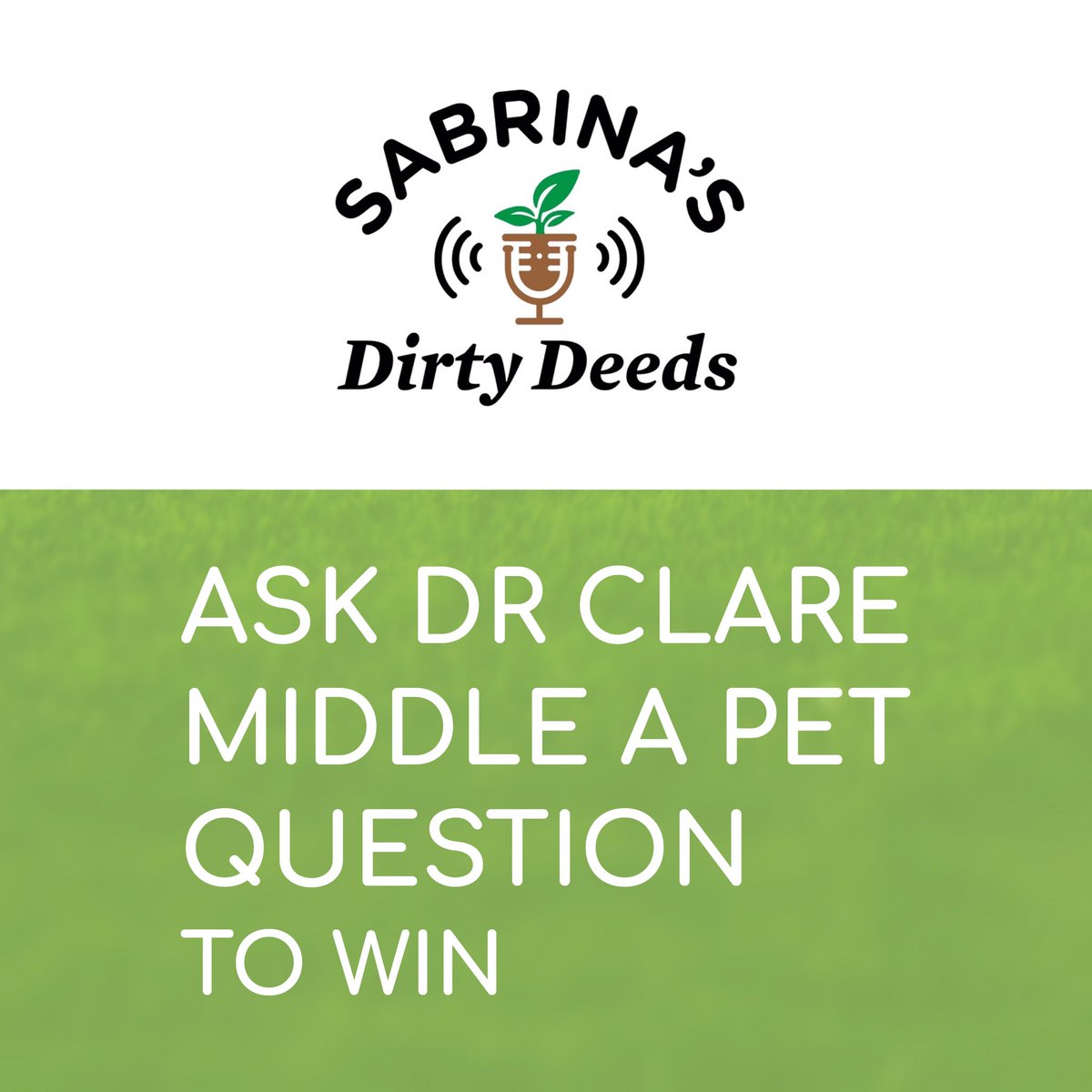 Sabrina Hahn tweet media