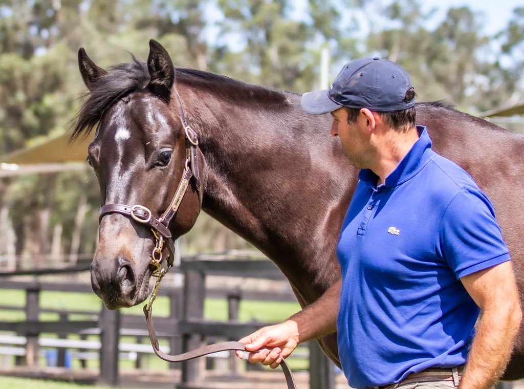 🏆Lot 21 – A Colt by Pride of Dubai out of Impressive Eagle (Rubiton) on offer at <a href="/inglis_sales/">Inglis</a> 

🏇This 2018 Colt has the resilience and conformation to be effective as a late 2yo and be very compatible as an early 3yo covering some more ground

youtube.com/watch?v=wq2bWp…