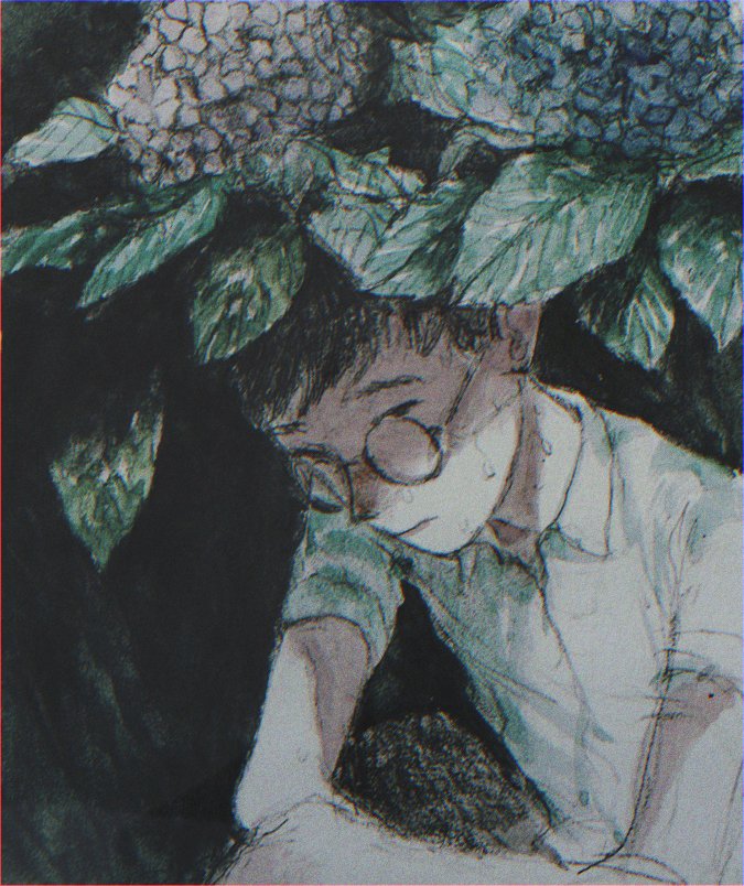 1boy male focus shirt solo glasses hydrangea flower  illustration images