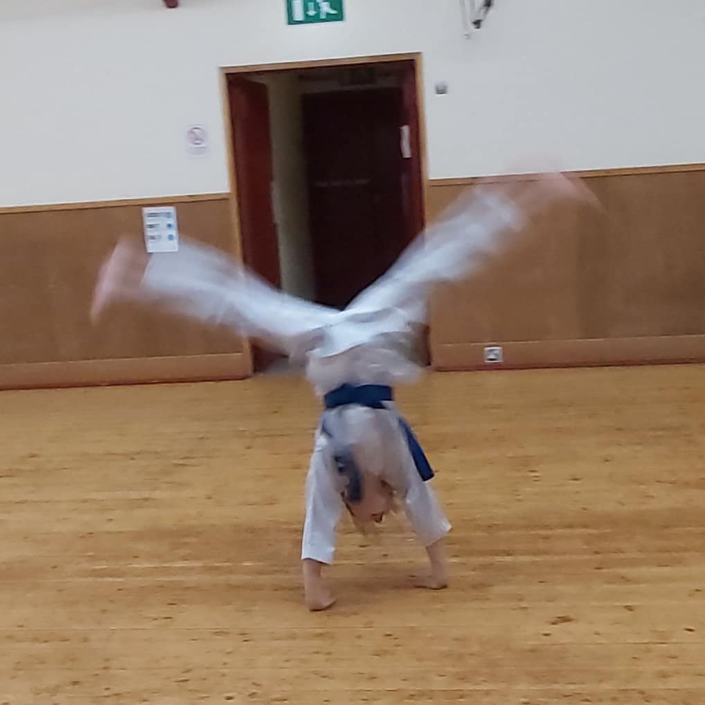 CctkdS's tweet image. Another fab night back at class. Alena and I preparing and warming up. We had a lovely wee visitor too! Great to see you all! See more of you tomorrow on Zoom! 👊🥋💪