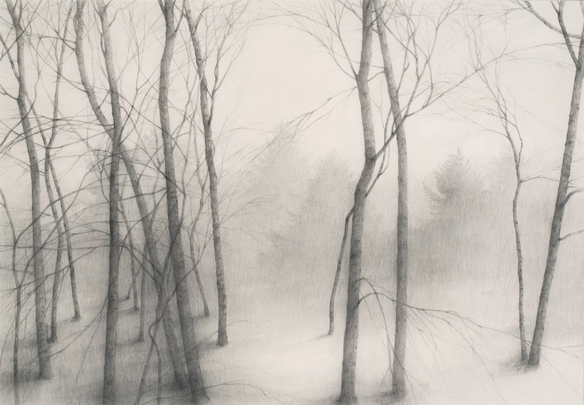 Through the Trees, presents recent paintings and drawings. The images are thematic and site specific generated from extensive observations and time spent exploring East Tennessee, the Delaware Valley, the Oregon Coast, and Lower Silesia in Poland. -Thomas Riesing
