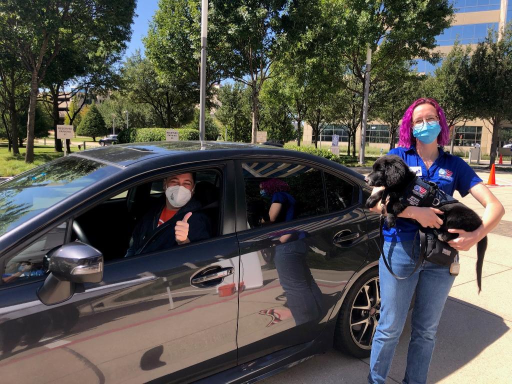 BCBSTX's tweet photo. @SBMCCLURE and our Health Care Delivery team hosted a virtual &amp; socially distanced volunteer event to assemble dog food and supply bags for @PatriotPAWS! 200+ employees &amp; their families participated. Check out the photos! #IamBCBSTX https://t.co/DotcIy8sxN
