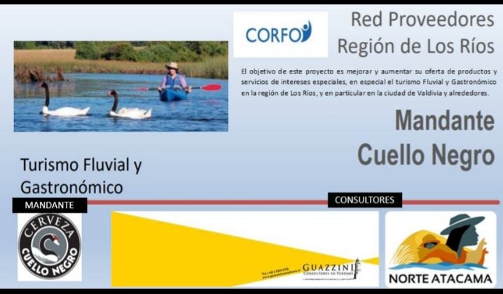 chlinz's tweet photo. Comenzando Proyecto para fortalecer la Gastronomía en la Región de Los Ríos... Red de proveedores de Cuello Negro en VALDIVIA...Corfo y Valdivia preocupados del Turismo fluvial y gastronómico. VALDIVIA se prepara para la reactivación del Turismo. Vamos a aportar con lo nuestro... https://t.co/inmc7JNDJF