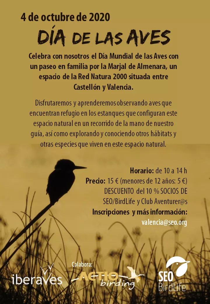 Numenius_tours's tweet photo. Un curso más volvemos a colaborar con @SEO/BirdLife proponiendo actividades de #birdingfamiliar para animar a niños y mayores a iniciarse en el mundo de la observación de las aves y a implicarse en su conservación.
Y comenzamos con el #DíadelasAves2020 en Estanys de #Almenara https://t.co/4G9QxZLQtt