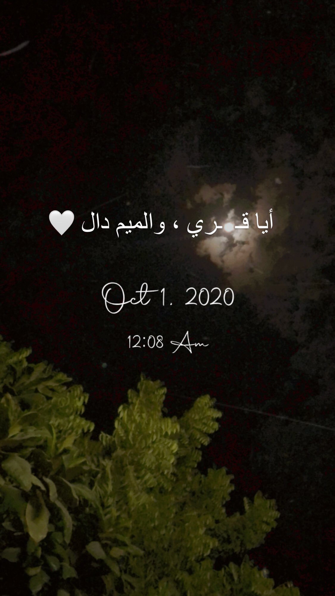 بلقيس 𓂆 Sur Twitter أي ا قمري والقاف عين أيا قمري والميم دال Https T Co Mf3obxla82