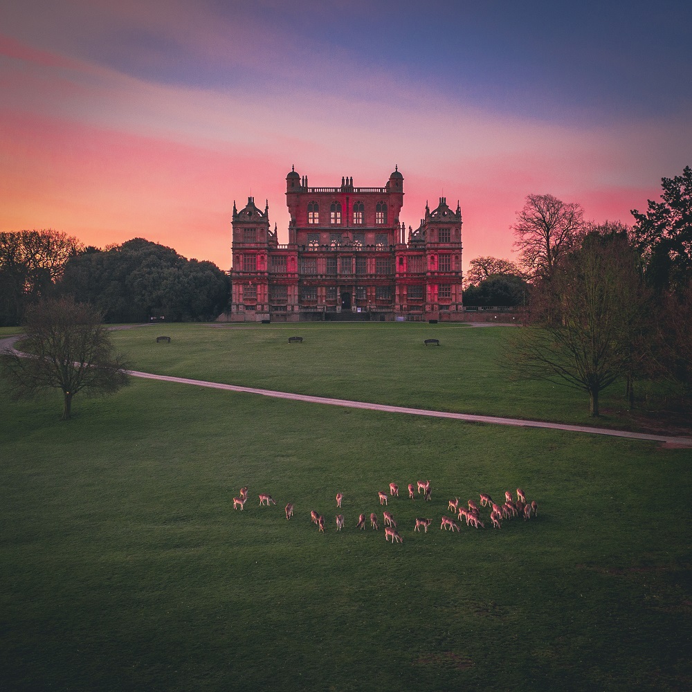 🏹 My Nottingham tweet media