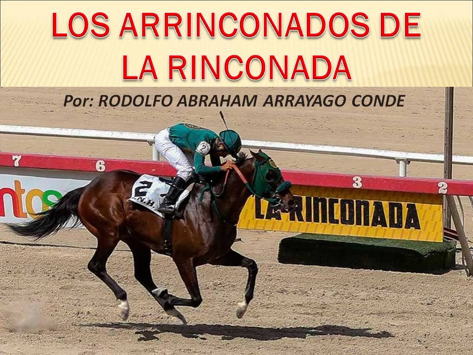 Arrayago's tweet photo. . MIS PRONOSTICOS ABIERTOS para la Rinconada, Domingo 04/10/2020.
1) 5-6-11
2) 9-4-1
3) 5-8-3
4) 3-9-6
5) 2-3-1
6) 8-7-4
7) 3-7-9
8) 8-2-5
9) 13-5-11
10) 10-11-2
11) 7-8-3
12) 10-1-2
#LaRinconada #La_Rinconada #Rinconada #Arrinconados #ByArrayago #RAAC #Picks #Bestbet https://t.co/nn6m8kDQzE