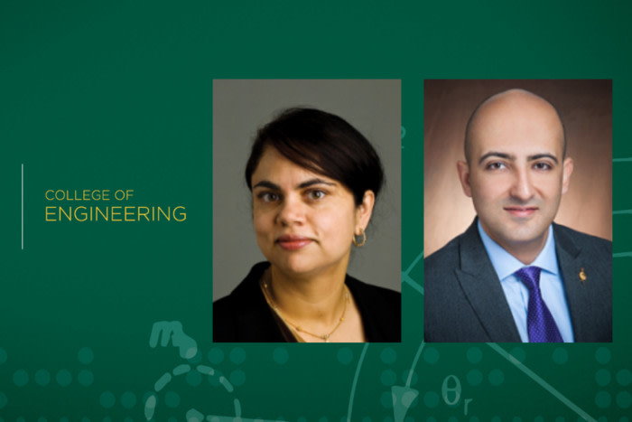 Kalpana Katti, Ali Amiri and Hizb Ullah Sajid have been honored for their outstanding work in the classroom.
🤘👩‍🏫👨‍🏫💚
Learn more: bit.ly/2EQ4GHi