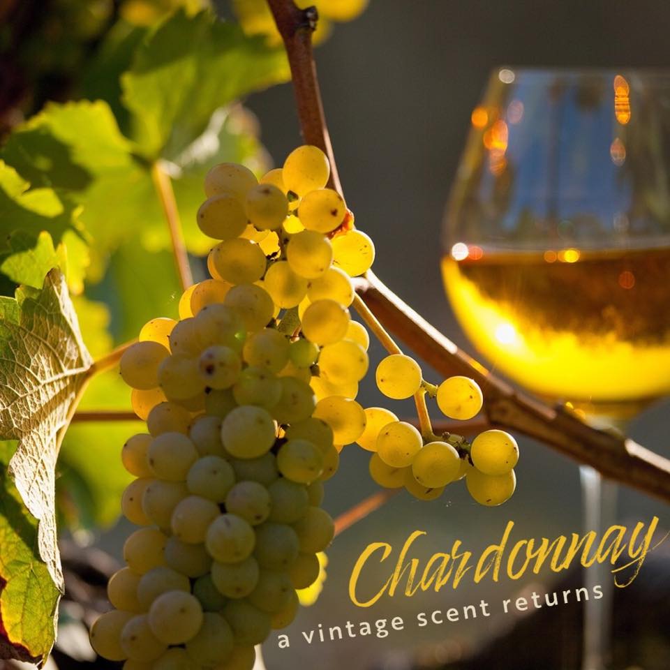 IlluminationsH's tweet photo. We've uncorked the bottle on another prized classic Illuminations scent!
Chardonnay Signature Scented Candles are available now on our site. https://t.co/gNd4Zx3TXR

#illuminationsisback #signaturescents #candlelove #winescents https://t.co/FsnQEss2rg