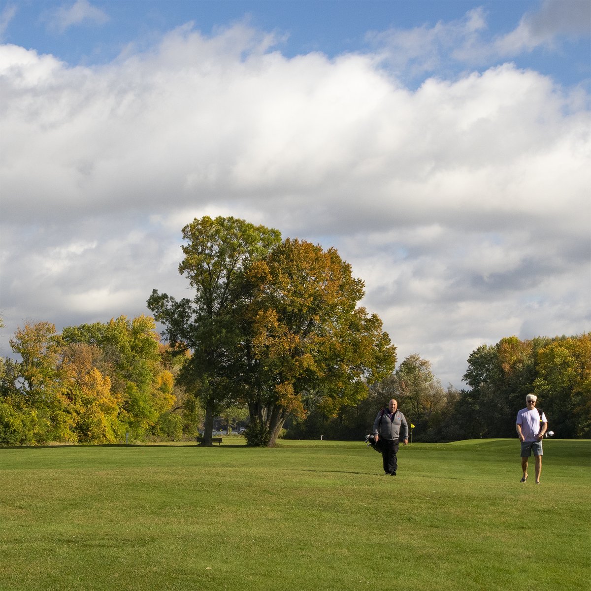 fernresort's tweet image. Fall colours on the famous Fern Five Golf Course. 

#goresorting #resortspirit #ontariosallinclusive #DiscoverON #golfontario  #fallsplendor #brucegreysimcoe #OrilliaLakeCountry #resortsofontario