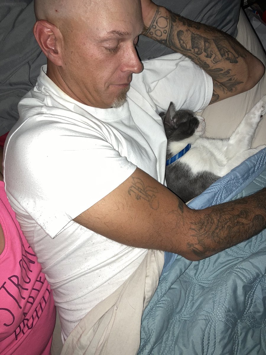 BitsySpazzi's tweet photo. Hoomum brot dis monstar home 2 dayz ago. Me’z been hiding and growl and hiss at it. Dey put it in itz bed last night an I gots time wiv hoomdad. Still not happy, but ze monstars tail iz fun. Dey callz it Reeses. -Spazzi🐱🐾🐾 #CatsOfTwitter #CatsOnTwitter #spazzithecat https://t.co/aWBGPBpeSK