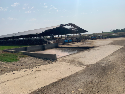 AgDayTV's tweet photo. Dairy after Derecho: The Struggle to Get Contractors, Materials

“If it’s warmer later in [the] November, December [timeframe], it will help a lot,” says Simon. “As far as getting contractors and materials, it’s been a struggle.”
#FarmONDairy #DairyWeek

https://t.co/is719pizIp https://t.co/Uz2h6faalI