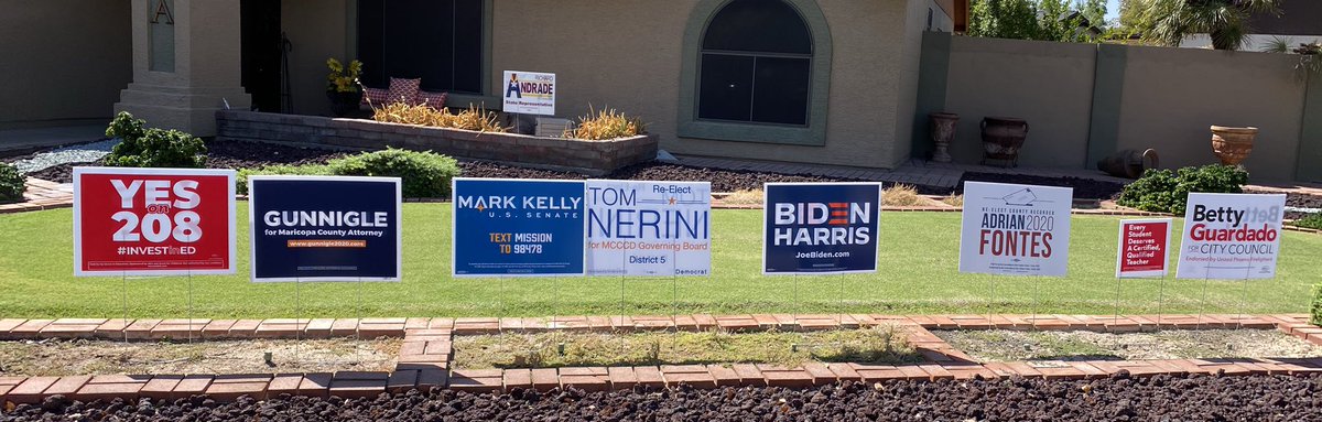 RichCAndrade's tweet image. In case there is any doubt who I am supporting!!!  I think it’s clear!!! #LD29. @JoeBiden @KamalaHarris @JulieGunnigle @RecorderFontes @BettySGuardado1 @CaptMarkKelly @TomNerini #InvestInEd Prop208