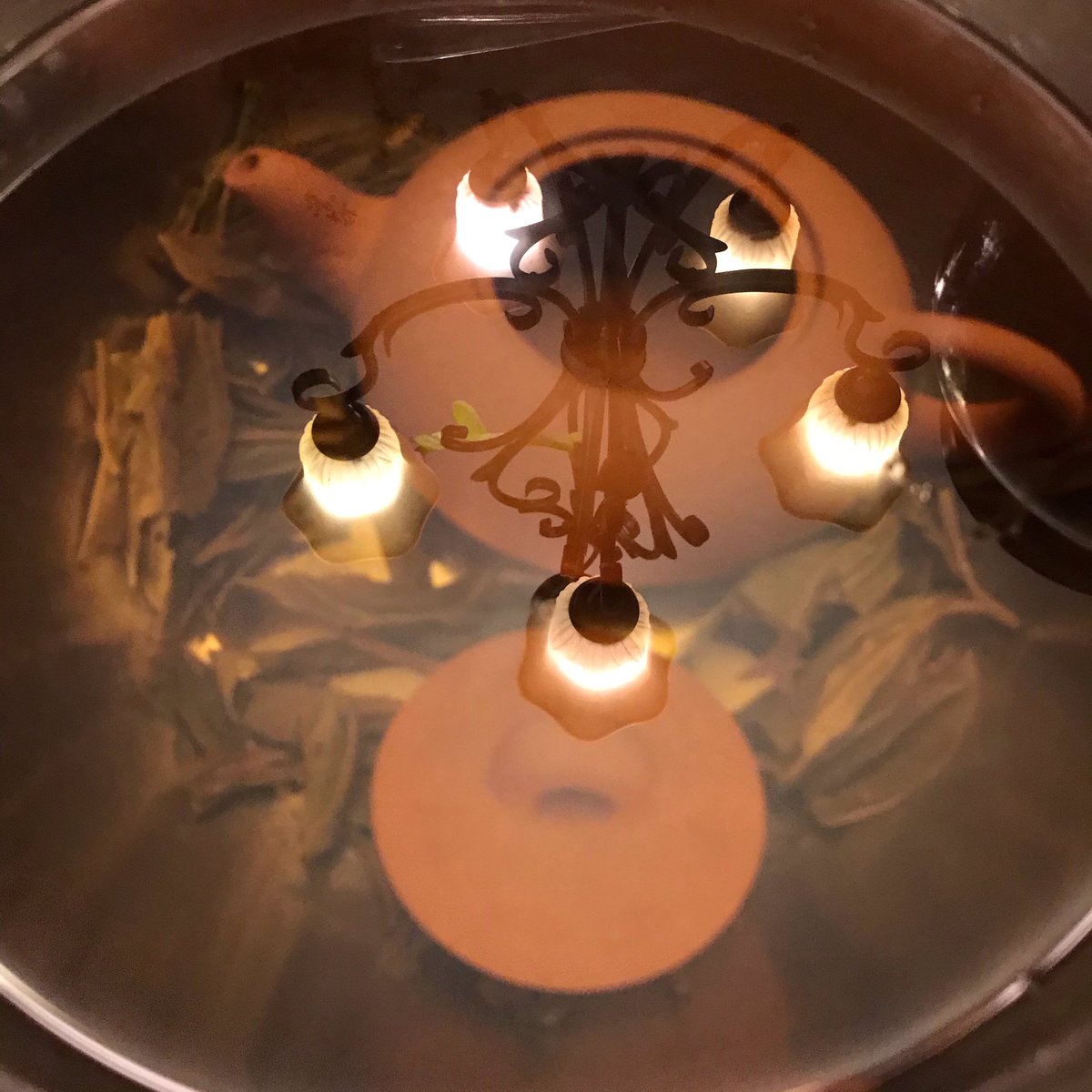 lowlyesculent's tweet photo. Itโs almost October, and somehow seasoning my teapot is extra spooky ๐ #laobanzhang #rawpuerh #yixingteapot #halloweentea https://t.co/sMFgpbJWE5