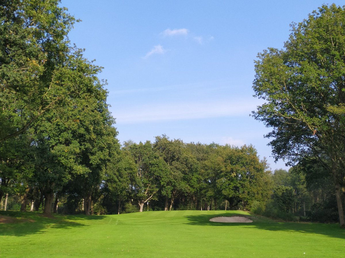 martijn paehlig tweet media