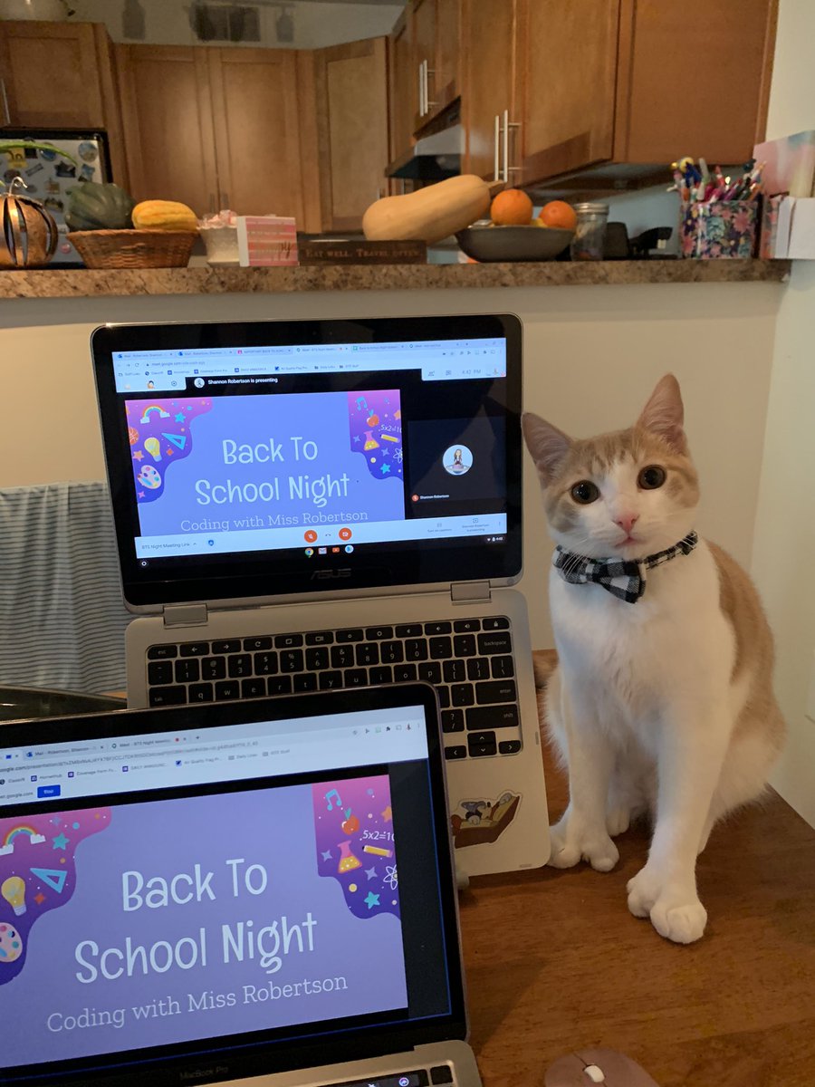 Back to School Night ready with my distinguished, but not always professional assistant!