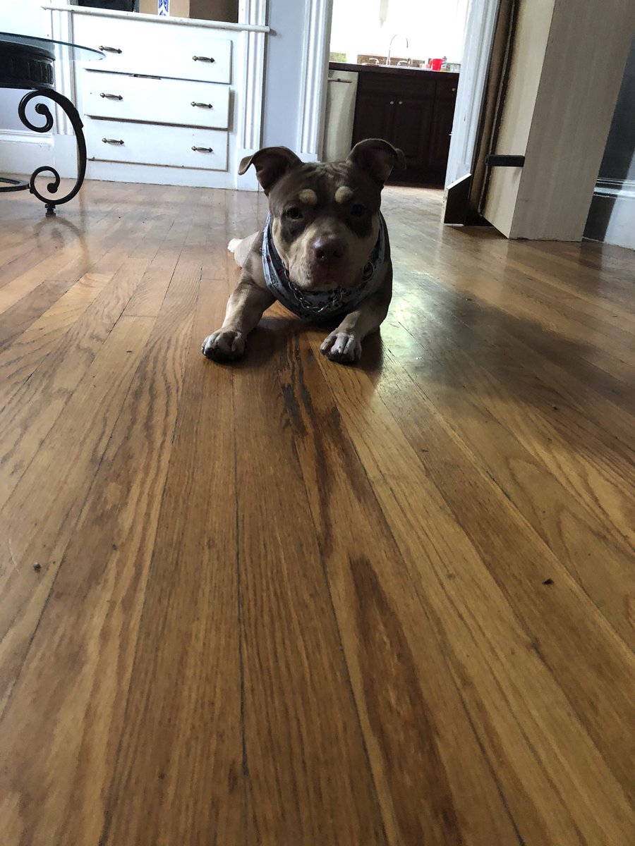 escari4's tweet photo. Baby coco #5Gsfor5G #contest @TMobile https://t.co/ndotCxPSbN
