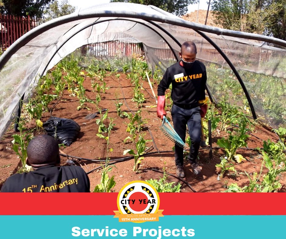 CityYearSoA's tweet photo. Our team serving at Tshilidzi Primary School implementing their gardening projects. A special appreciation to the @CyrilFoundation for supporting such an amazing team of young people! #redjacketyouth #cityyear15thanniversary #makemzansibetter #servetowork https://t.co/d7RoZtwPMv