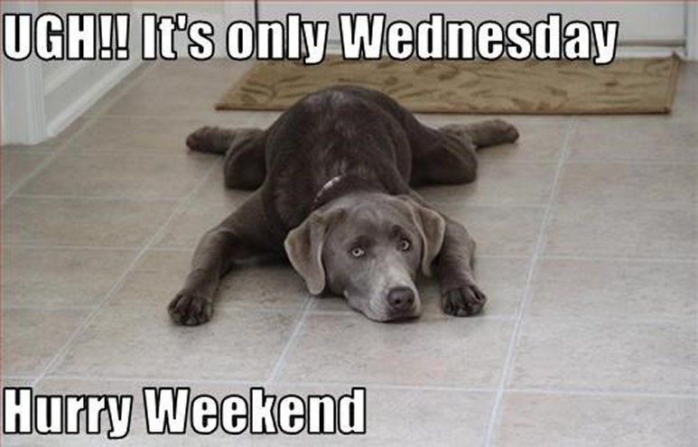 ECX Farnham tweet media