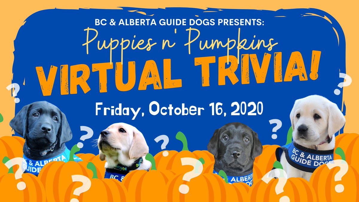 Join us for #PuppiesNPumpkins, #VirtualTriviaNight on FRIDAY, OCTOBER 16th! Test your autumn-themed trivia🍂 and compete for awesome prizes - more information and tickets available online at: bcandalbertaguidedogs.com/puppykins/

#PuppyPawsitive #PuppyPawsitivity