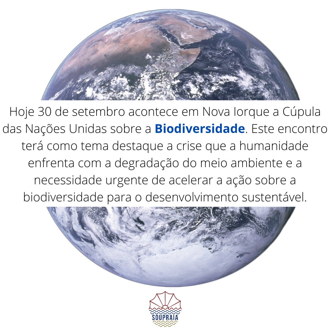 SouPraia's tweet photo. Hoje alguns Chefes de Estado estarão se reunindo na Cúpula das Nações Unidas sobre a Biodiversidade, onde terão como destaques discussões sobre a importância da relação entre as pessoas e a natureza em um mundo pós pandemia. https://t.co/H3rLFAmAUk