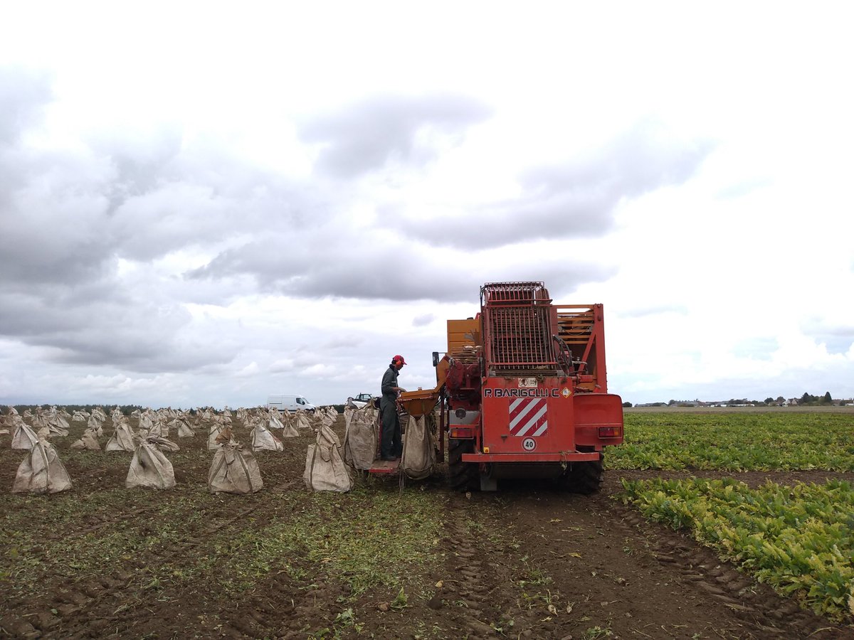 @ITB_Centre Val de Loire / Ile De France tweet media