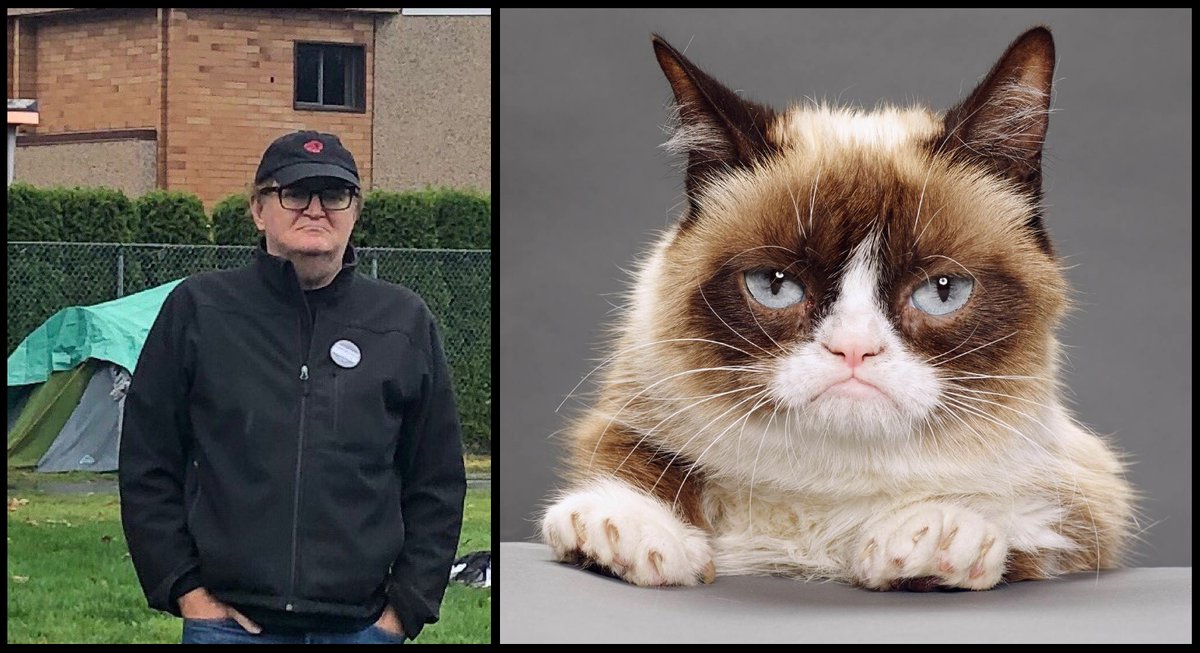 photowarrior's tweet photo. White Male failed-politico with patriarchal-eyes attacks successful female politicians;
...scolds women about #DomesticViolence
#EvilAndrew #AdamHurling
@ClanPatrols #LegalObserver spotted Grumpy Cat Stephen creeping around the homeless
@self_govern4us @deardubow #bcpoli #yyj https://t.co/yUhoYfdk9c