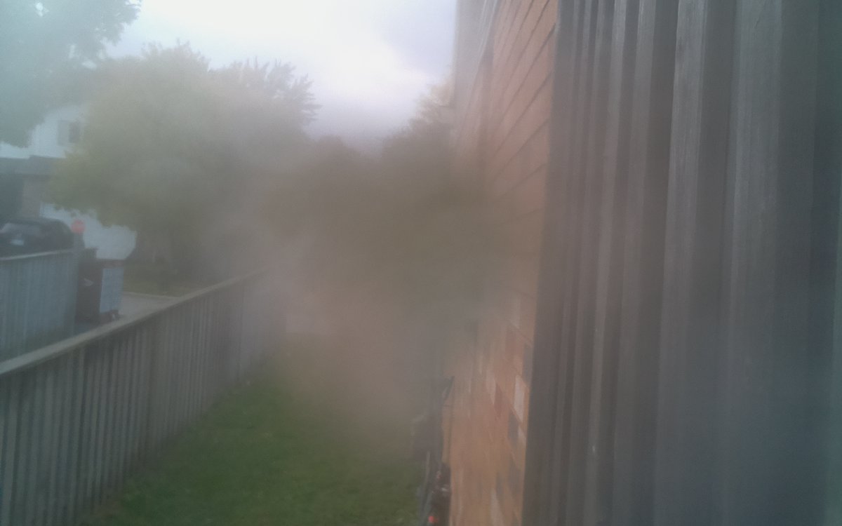 KWGeeseCam Status: 11.6C 251.7Lux (Internet by <a href="/WorldlineCanada/">WorldlineCanada</a>)