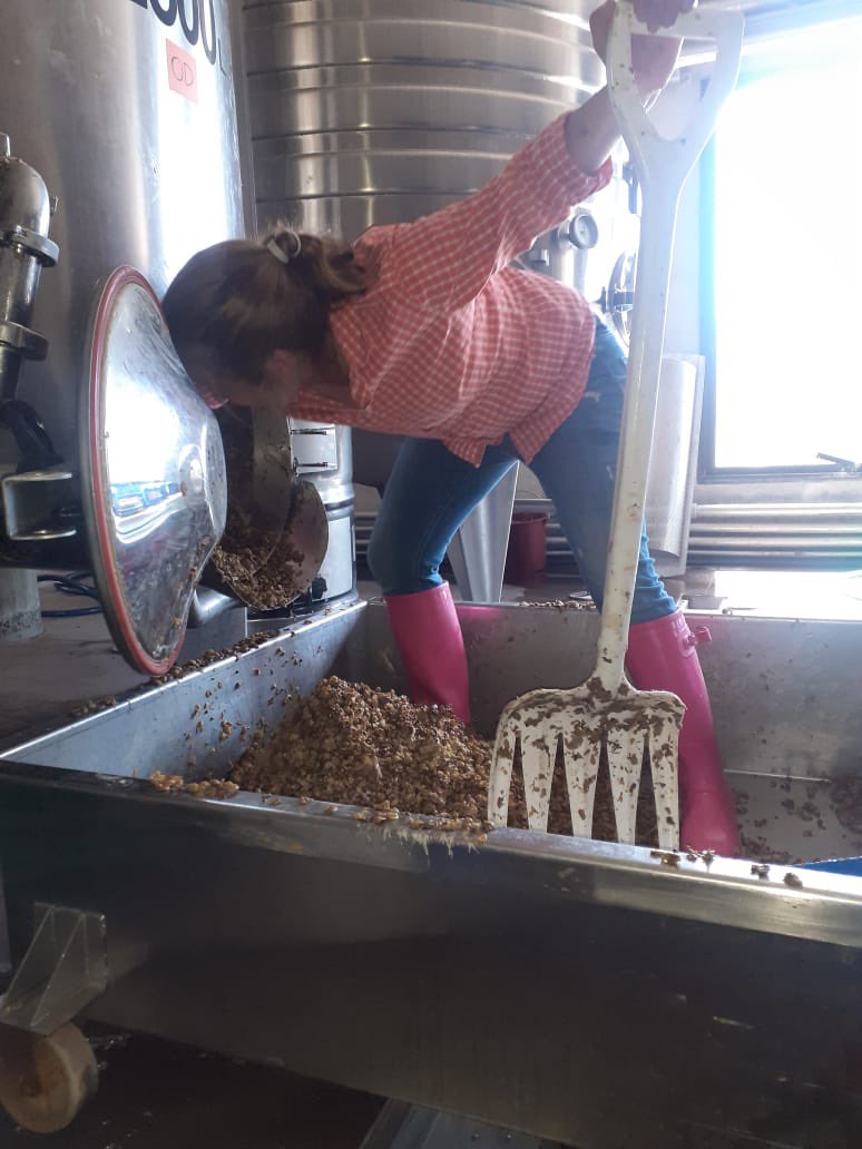 WinesKrontiras's tweet photo. #KrontirasWines \ Miércoles de descube y prensado de las uvas #Chardonnay del nuevo #CosmicAmber 2020 de @WinesKrontiras. https://t.co/lgcsjYDatC