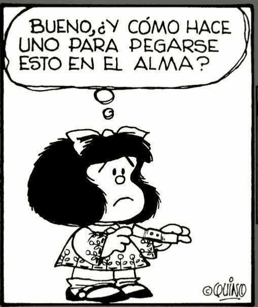 Pato Galvan tweet media
