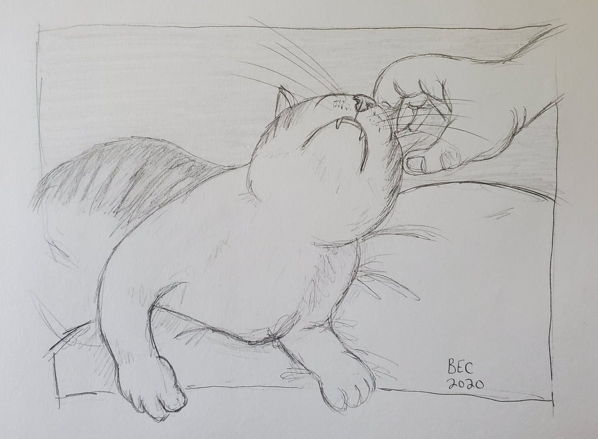 HowlingBeast75's tweet photo. Catember was a lot of fun! I'm glad I participated. I missed a couple of the prompts, but that's ok. Day 30 - attention / aufmerksamkeit. #Catember20 #Catember https://t.co/XfALEtowq5