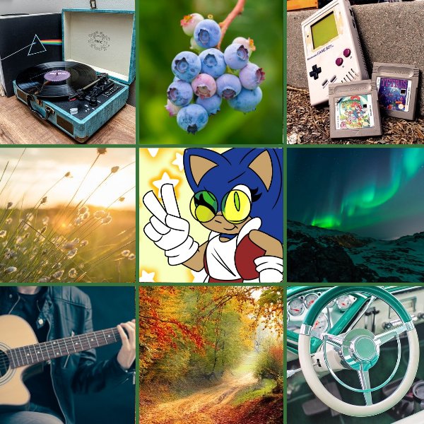 "𝙰 𝚋𝚒𝚝 𝚘𝚏 𝚜𝚎𝚕𝚏𝚕𝚎𝚜𝚜𝚗𝚎𝚜𝚜...
  𝙰 𝚕𝚒𝚝𝚝𝚕𝚎 𝚋𝚒𝚝 𝚘𝚏 𝚍𝚎𝚌𝚎𝚗𝚌𝚢...
    𝙰𝚗𝚍 𝚢𝚘𝚞'𝚍 𝚋𝚎 𝚓𝚞𝚜𝚝 𝚕𝚒𝚔𝚎 𝚖𝚎!"

-Semi-Selective Trans Girl Sonic AU
-Serious/Crack
-NO LEWD. LEWD ACCS WILL BE BLOCKED.
-Read Below!