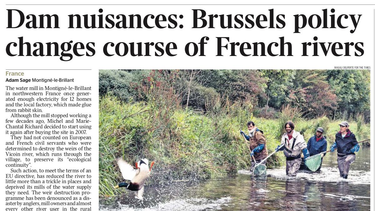 Hydrauxois tweet media